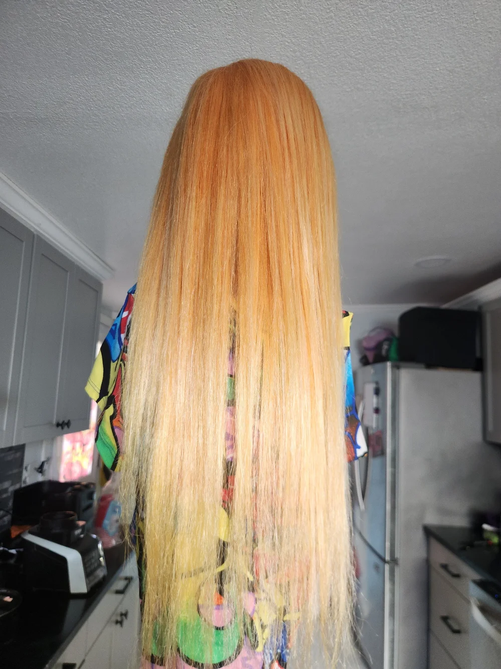 Blonde Straight Human Blend Hair Wig - Sleek Long Style